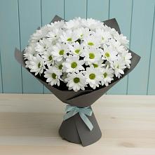 Букет цветов из:  Хризантемы #REPLACE_PRED# Ряжске