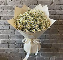 Букет цветов из:  Ромашки в Ряжске