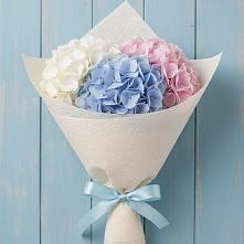Букет цветов из:  Гортензия в Ряжске