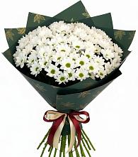 Букет цветов из:  Хризантемы #REPLACE_PRED# Ряжске