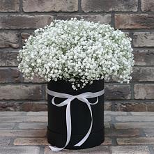 Цветочная композиция из Гипсофила в шляпной коробке в Ряжске