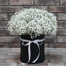 Цветочная композиция из Гипсофила в шляпной коробке в Ряжске