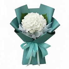 Букет цветов из:  Гортензия в Ряжске
